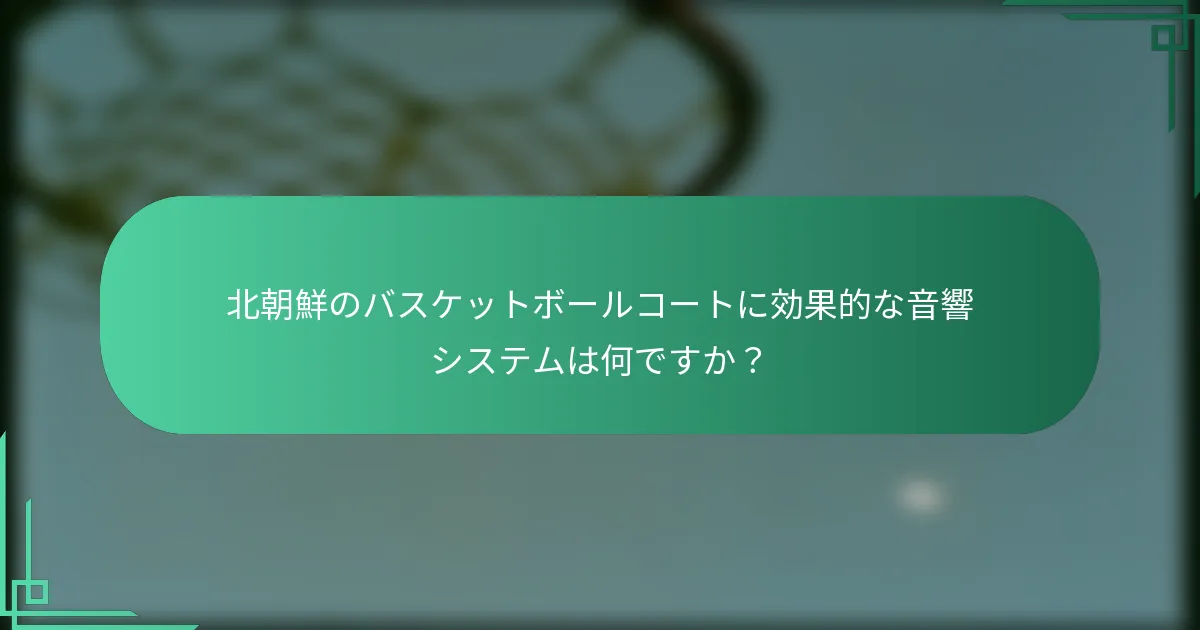 北朝鮮のバスケットボールコートに効果的な音響システムは何ですか？