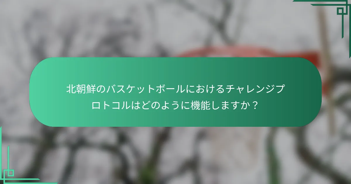 北朝鮮のバスケットボールにおけるチャレンジプロトコルはどのように機能しますか？